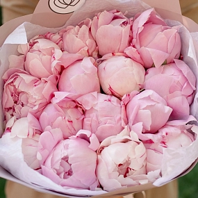 Букет из 15 розовых пионов Premium в розовой пленке