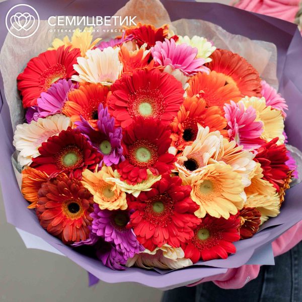 Букет из 51 герберы микс