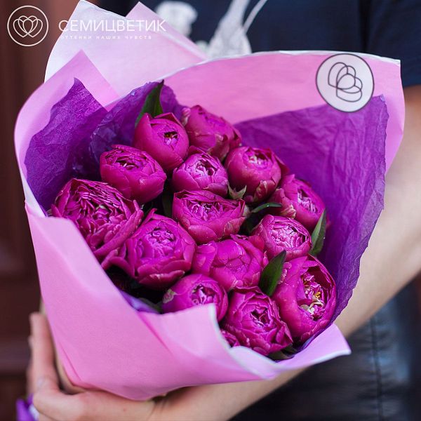 15 сливовых пионов Standart