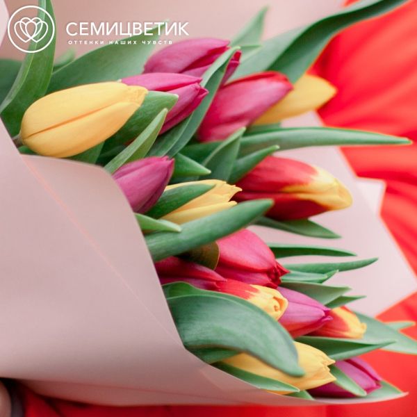 Букет из 15 тюльпанов микс
