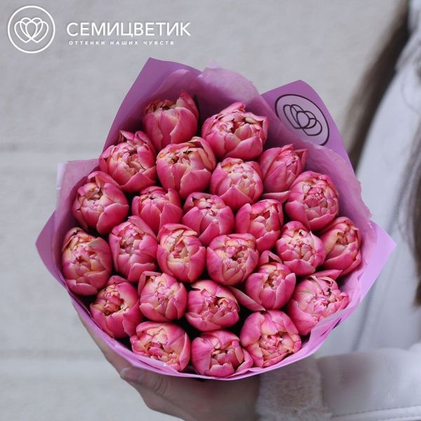 Букет из 25 розовых пионовидных тюльпанов в сиреневой пленке