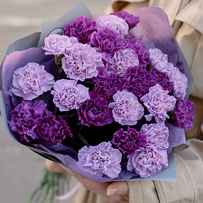 Букет из 25 сиреневых (лунных) и фиолетовых гвоздик в голубой пленке