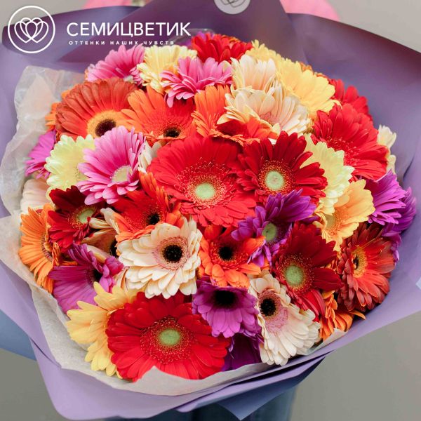 Букет из 51 герберы микс