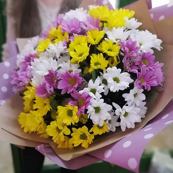 Букет из 15 кустовых хризантем