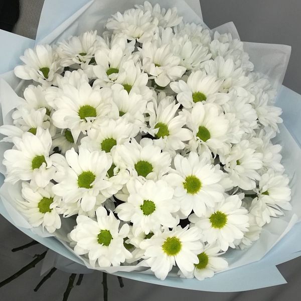 Букет Весеннее настроение