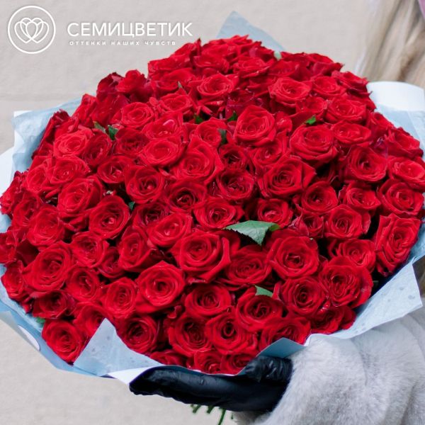 Букет из 101 красной розы 35-40 см (Россия)