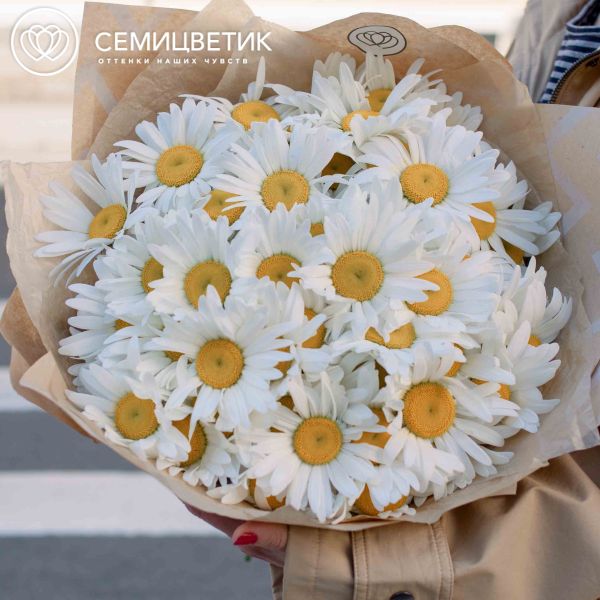 Букет из 51 одноголовой ромашки