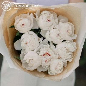 Букет из 9 нежно-розовых пионов Standart в кремовой пленке