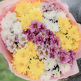 Букет из 11 кустовых хризантем микс в розовой пленке