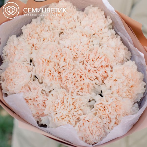 Букет из 15 кремовых гвоздик
