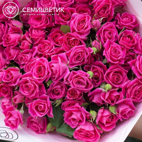 Букет из 21 малиновой кустовой розы 40 см (Кения)