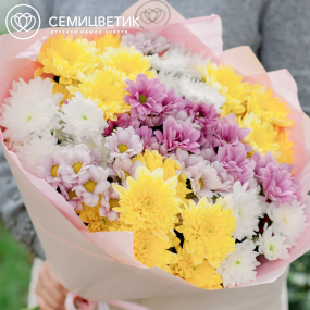 Букет из 11 кустовых хризантем микс в розовой пленке