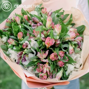 Букет из 23 альстромерий нежный микс в розовой пленке