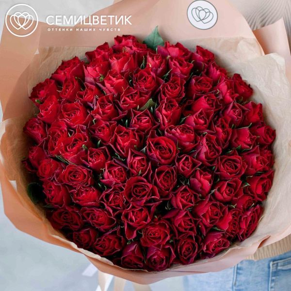 Букет из 75 красных роз 30 см (Кения) в кремовой пленке