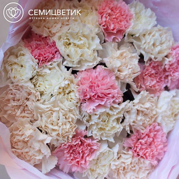 Букет из 25 розовых, белых и кремовых гвоздик