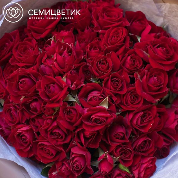 Букет из 19 красных кустовых роз 40 см (Кения)