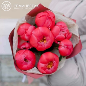 Букет из 7 коралловых пионов Coral Sunset Premium в розовой пленке