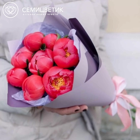 Букет из 9 коралловых пионов Coral Sunset Premium в сиреневой пленке