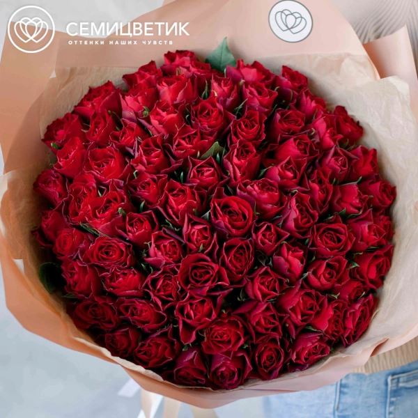 Букет из 75 красных роз 40 см (Кения) в кремовой пленке