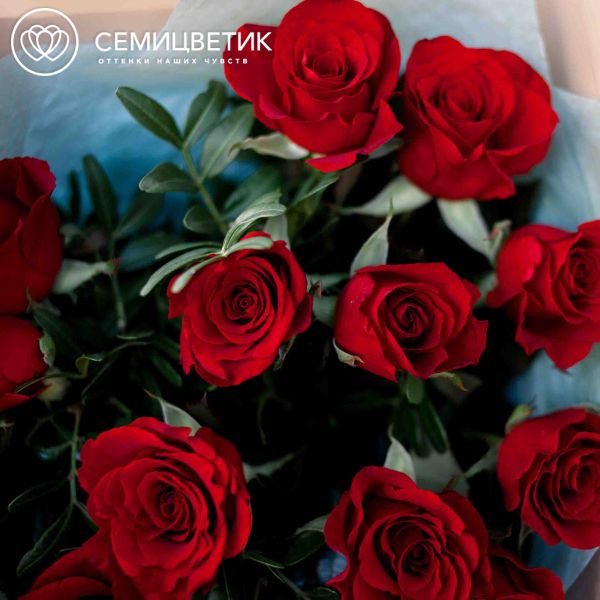 Букет из 15 красных с темной каймой роз (Россия) 40 см с фисташкой