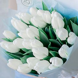 Букет из 25 белых тюльпанов 40 см