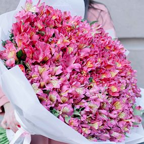 Букет из 101 розовой альстромерии
