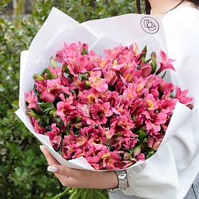 Букет из 23 малиновых альстромерий в белой пленке