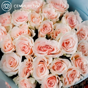 Букет из 25 нежно-розовых роз 40 см (Кения)