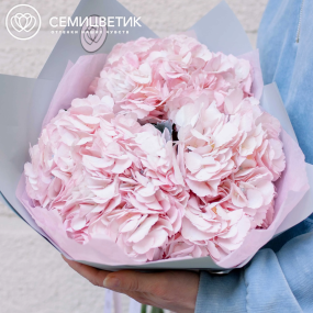 Букет из 3 розовых гортензий в белой пленке