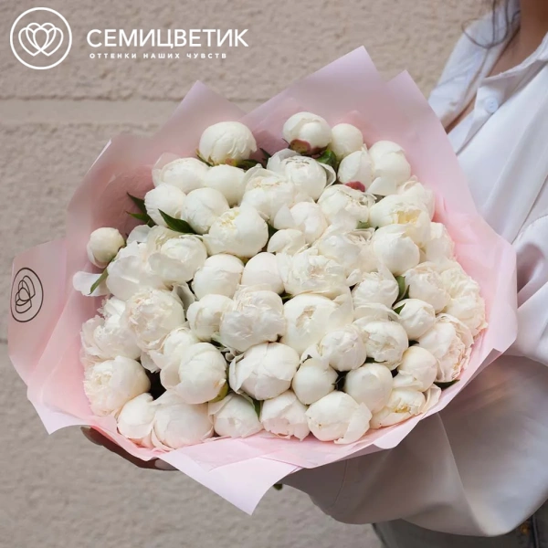 Букет из 51 белого пиона Standart Plus в розовой пленке