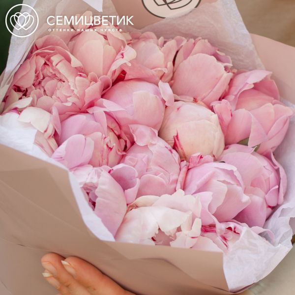 Букет из 15 розовых пионов Premium