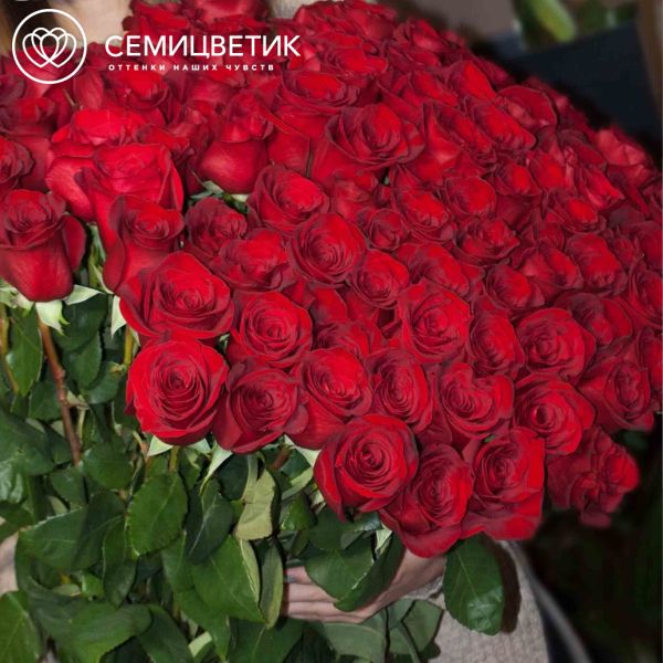 Букет из 101 красной розы (Эквадор) 100 см Freedom