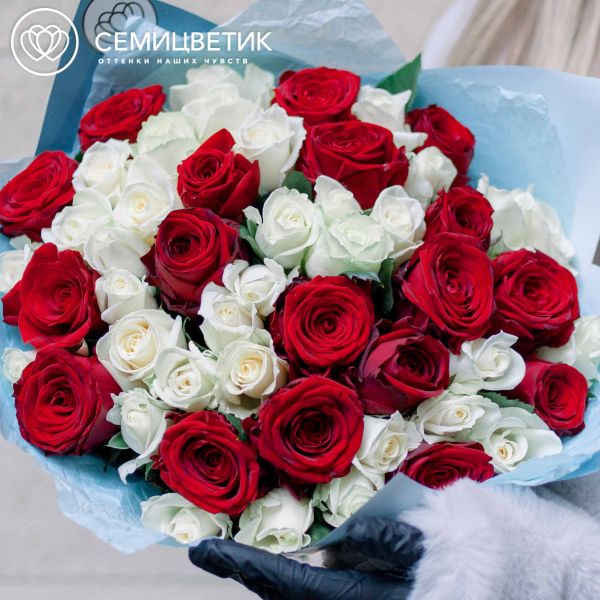 51 красная и белая роза (Россия) 35 см