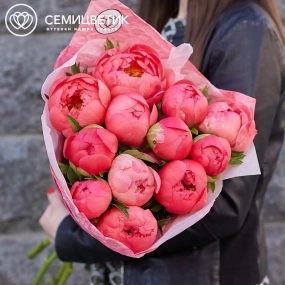 Букет из 11 коралловых пионов Coral Sunset Premium в розовой пленке