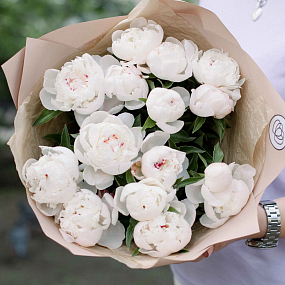 Букет из 15 нежно-розовых пионов Standart в кремовой пленке