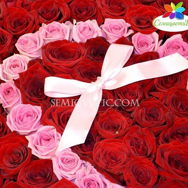 ***Композиция сердце из 101 красной и белой российской розы