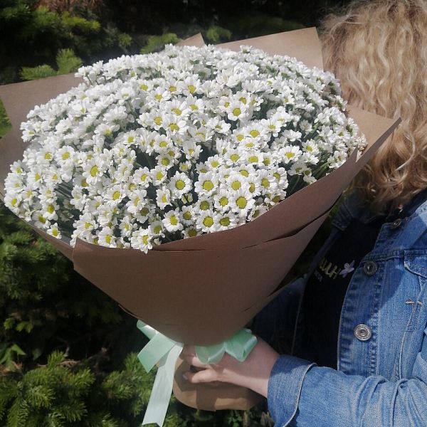 Монобукет ромашек сантини