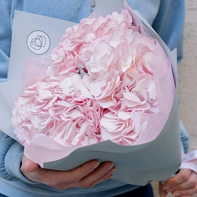 Букет из 3 розовых гортензий в белой пленке