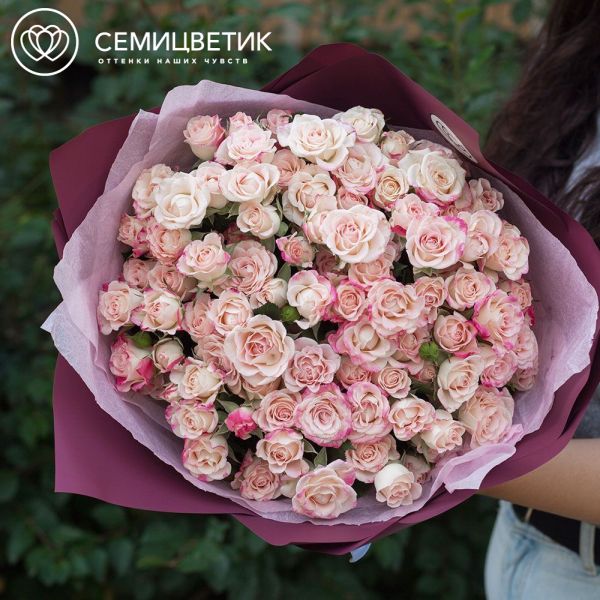 Букет из 21 белой с розовой каймой кустовой розы 40 см (Кения)