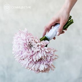Свадебный букет из хризантем