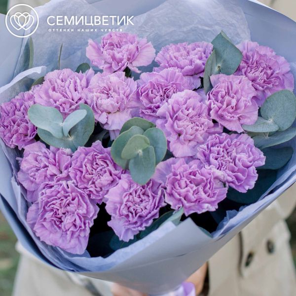 Букет из 15 сиреневых (лунных) гвоздик с эвкалиптом