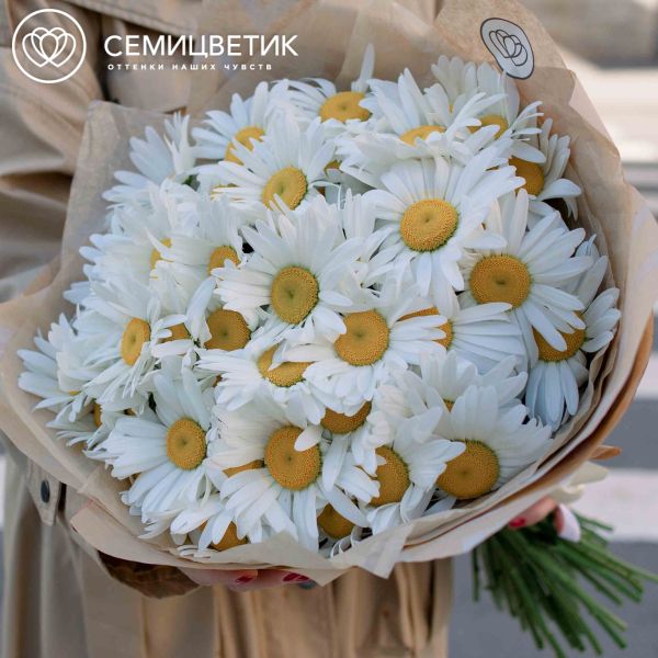 Букет из 51 одноголовой ромашки