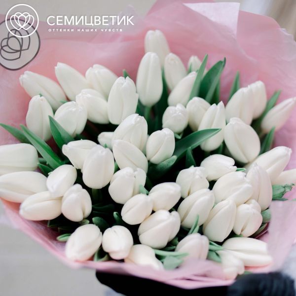 Букет из 51 белого тюльпана 40 см