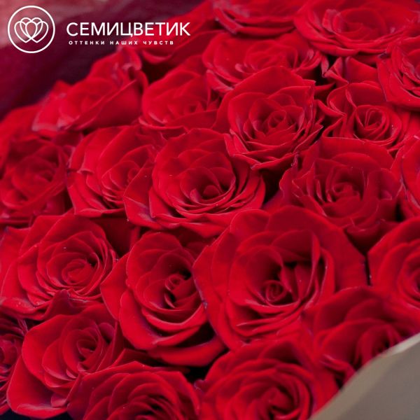 Букет из 25 красных с темной каймой роз (Россия) 40 см