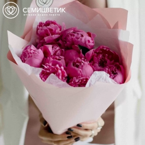 Букет из 11 ярко-розовых пионов Standart Plus в розовой пленке