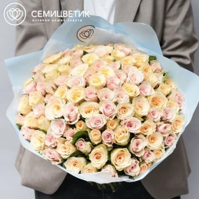 Букет из 101 кремовой и нежно-розовой розы 30 см (Кения) в голубой пленке