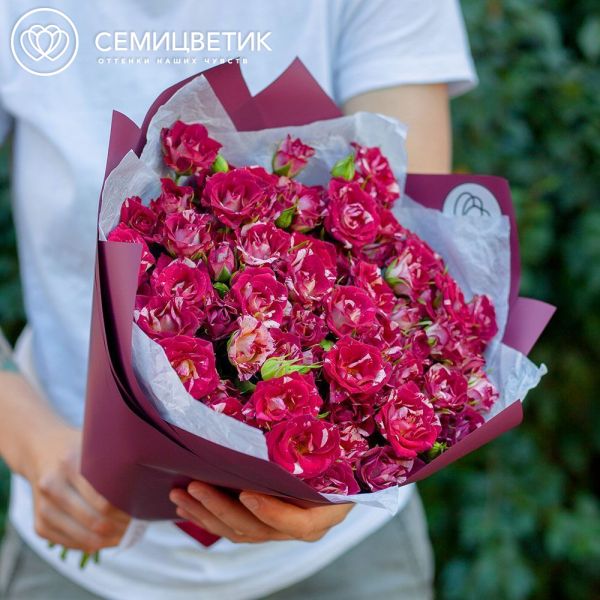 Букет из 21 кустовой розы биколор 40 см (Кения) в бордовой пленке