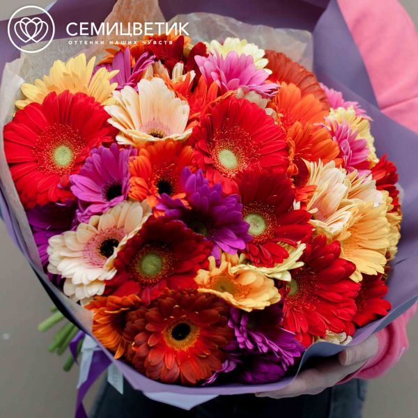 Букет из 51 герберы микс