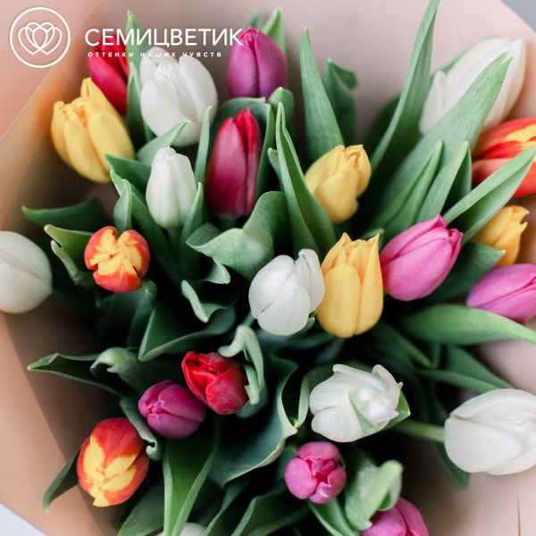 Букет из 25 тюльпанов микс 40 см в кремовой пленке