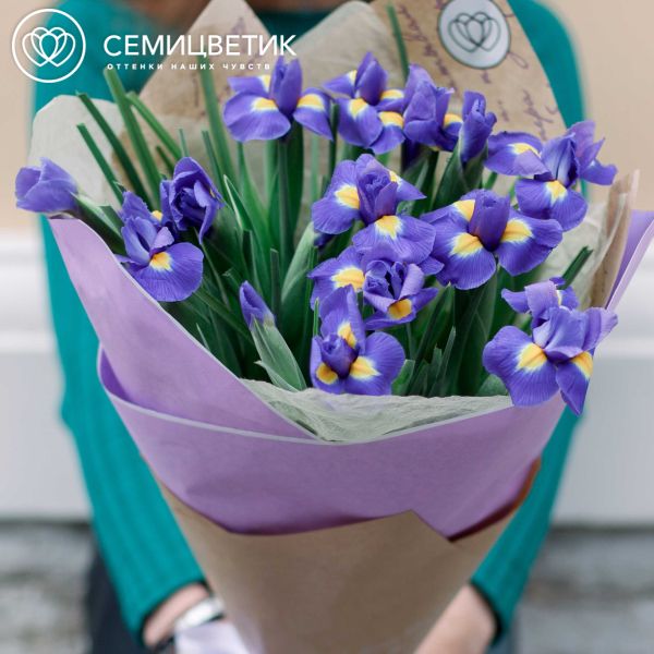 Букет из 15 синих ирисов